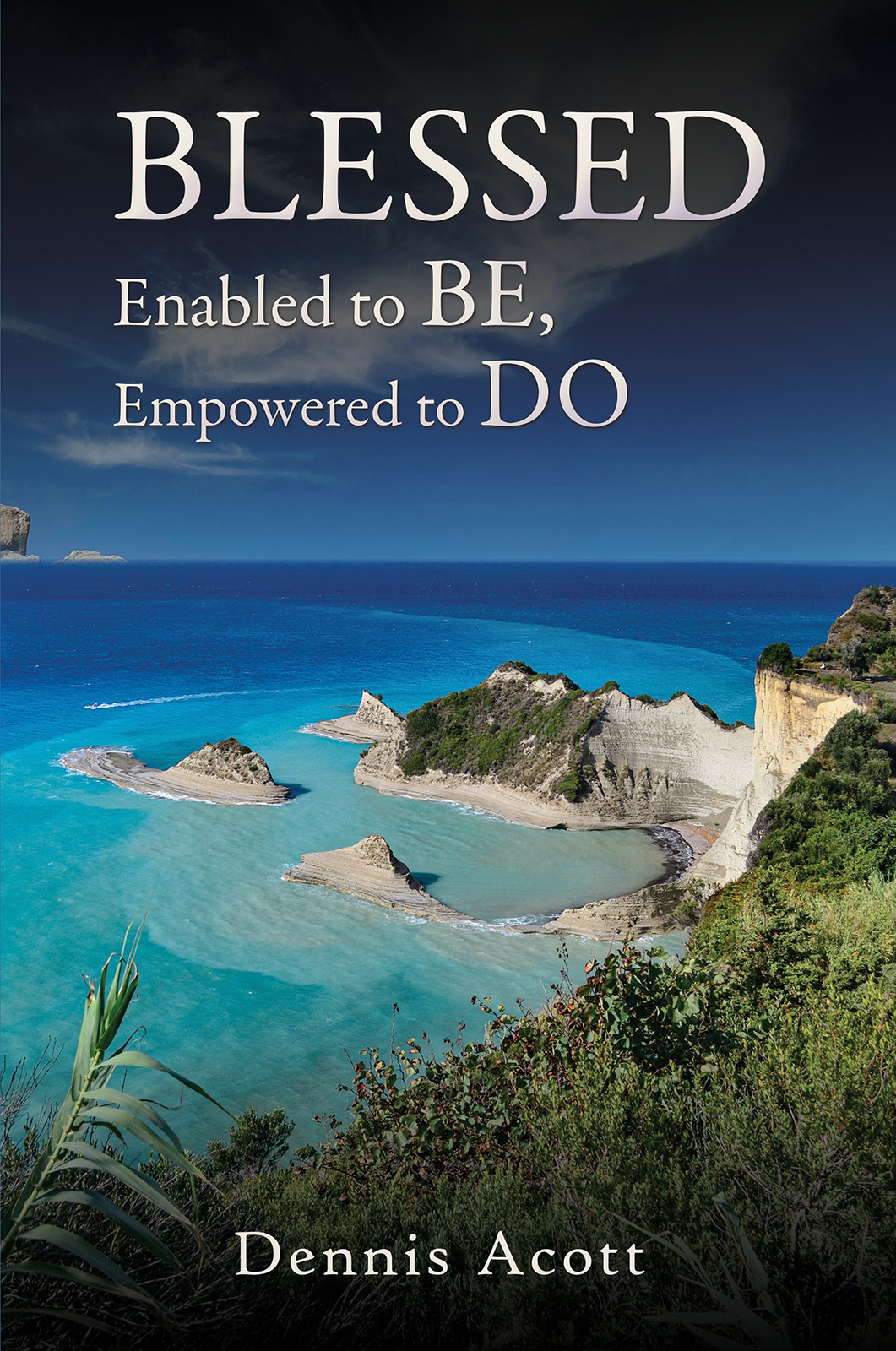 Blessed-bookcover
