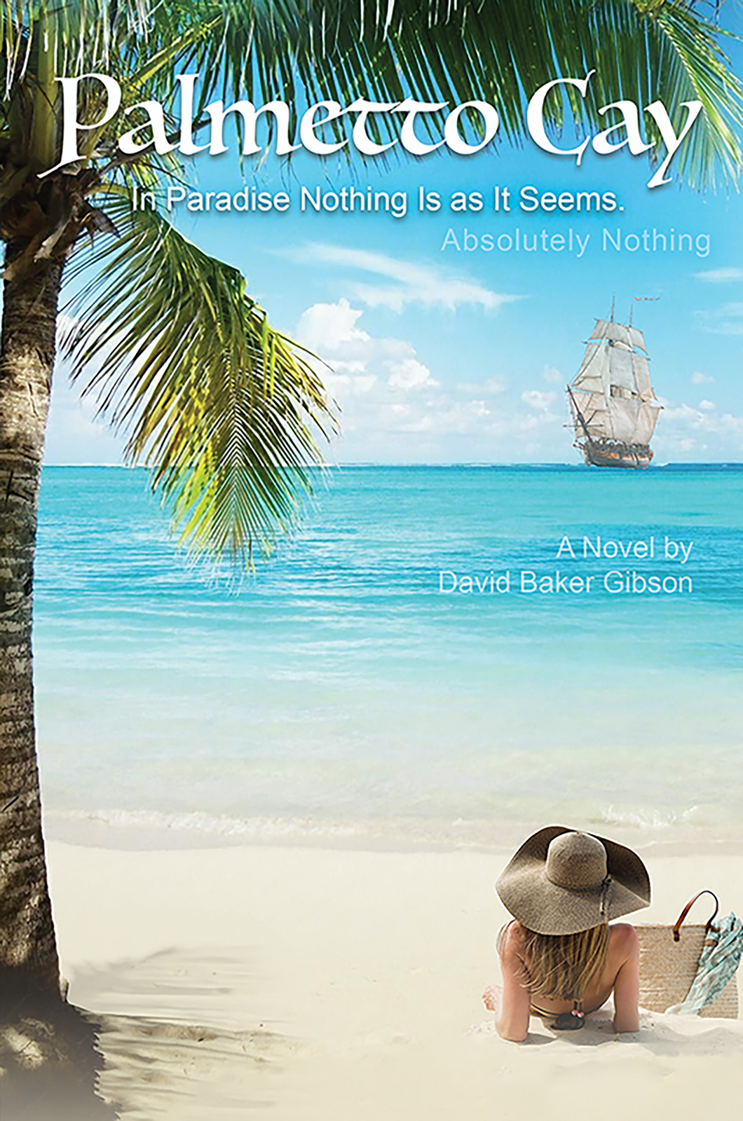 Palmetto Cay-bookcover
