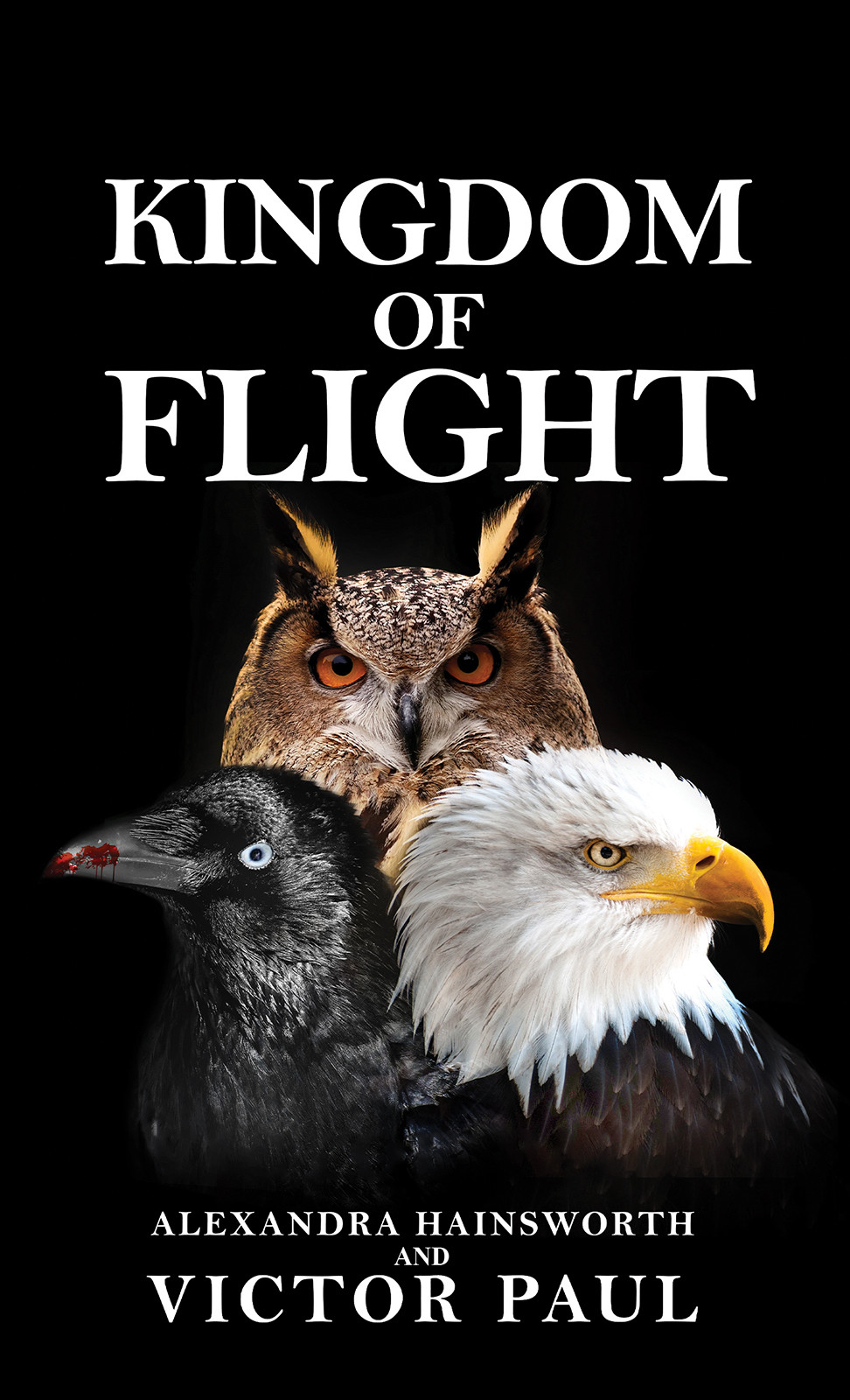 Kingdom of Flight-bookcover