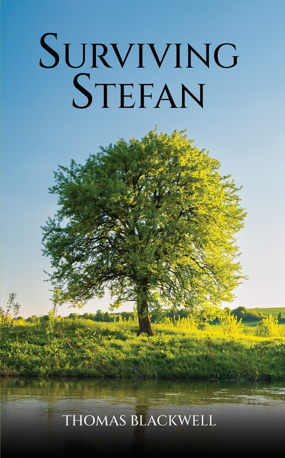Cover of Surviving Stefan