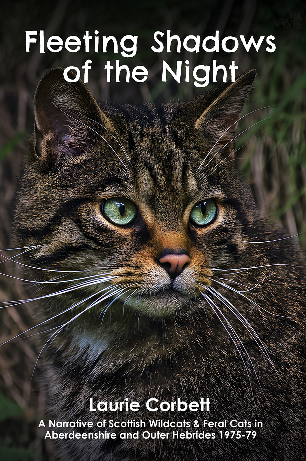 Cover of Fleeting Shadows of the Night