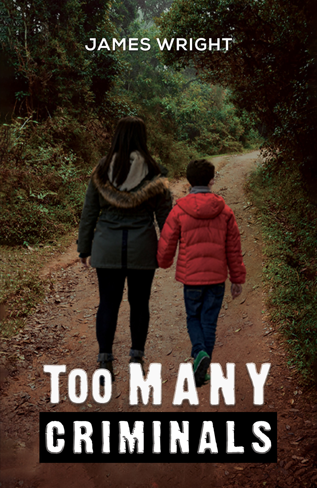 Cover of Too Many Criminals