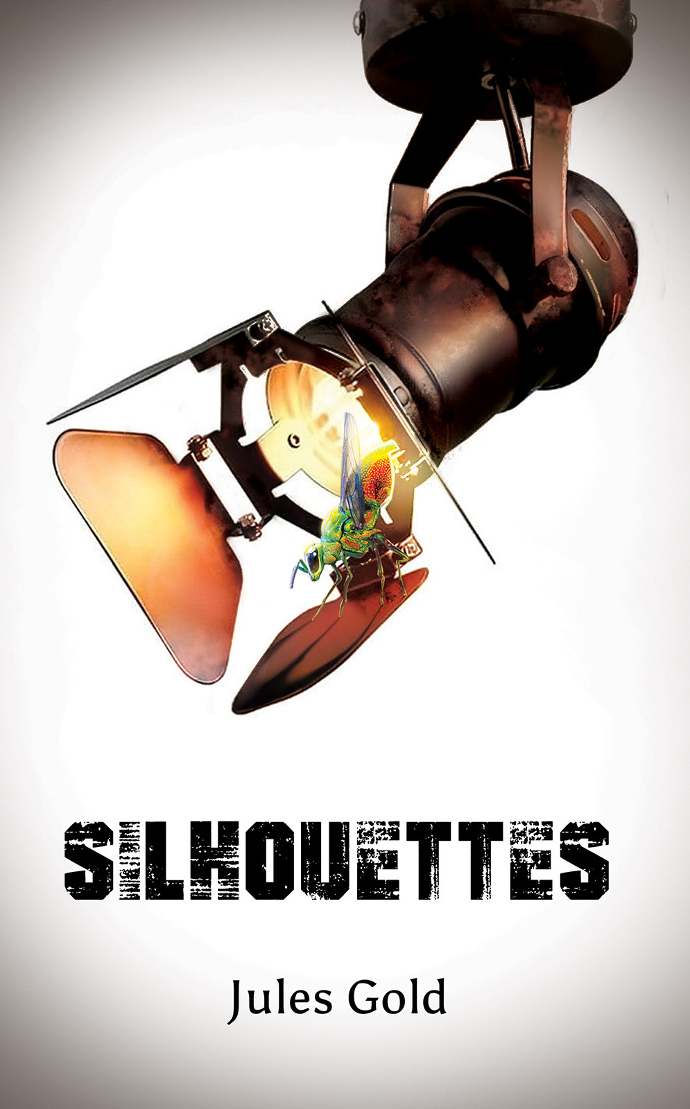 Cover of Silhouettes