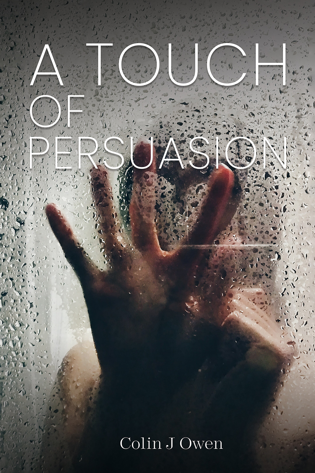 Cover of A Touch of Persuasion