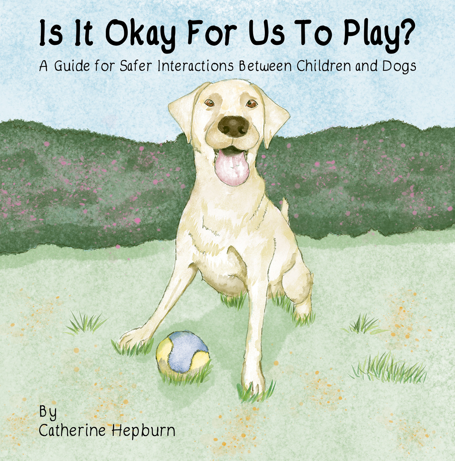 Cover of Is It Okay For Us To Play?