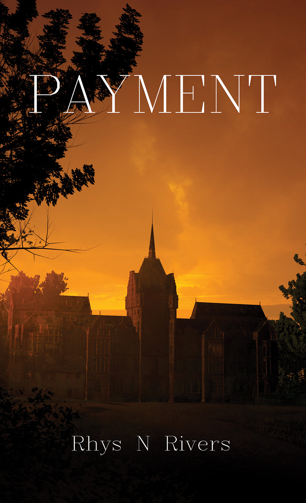 Cover of Payment