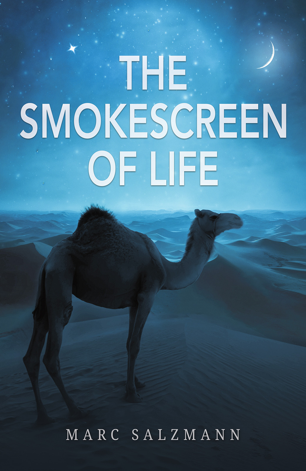 Cover of The Smokescreen of Life