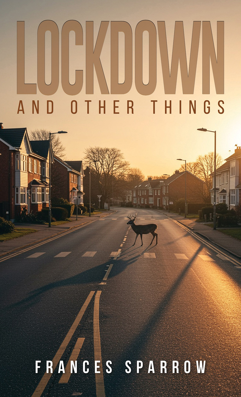 Cover of Lockdown and Other Things