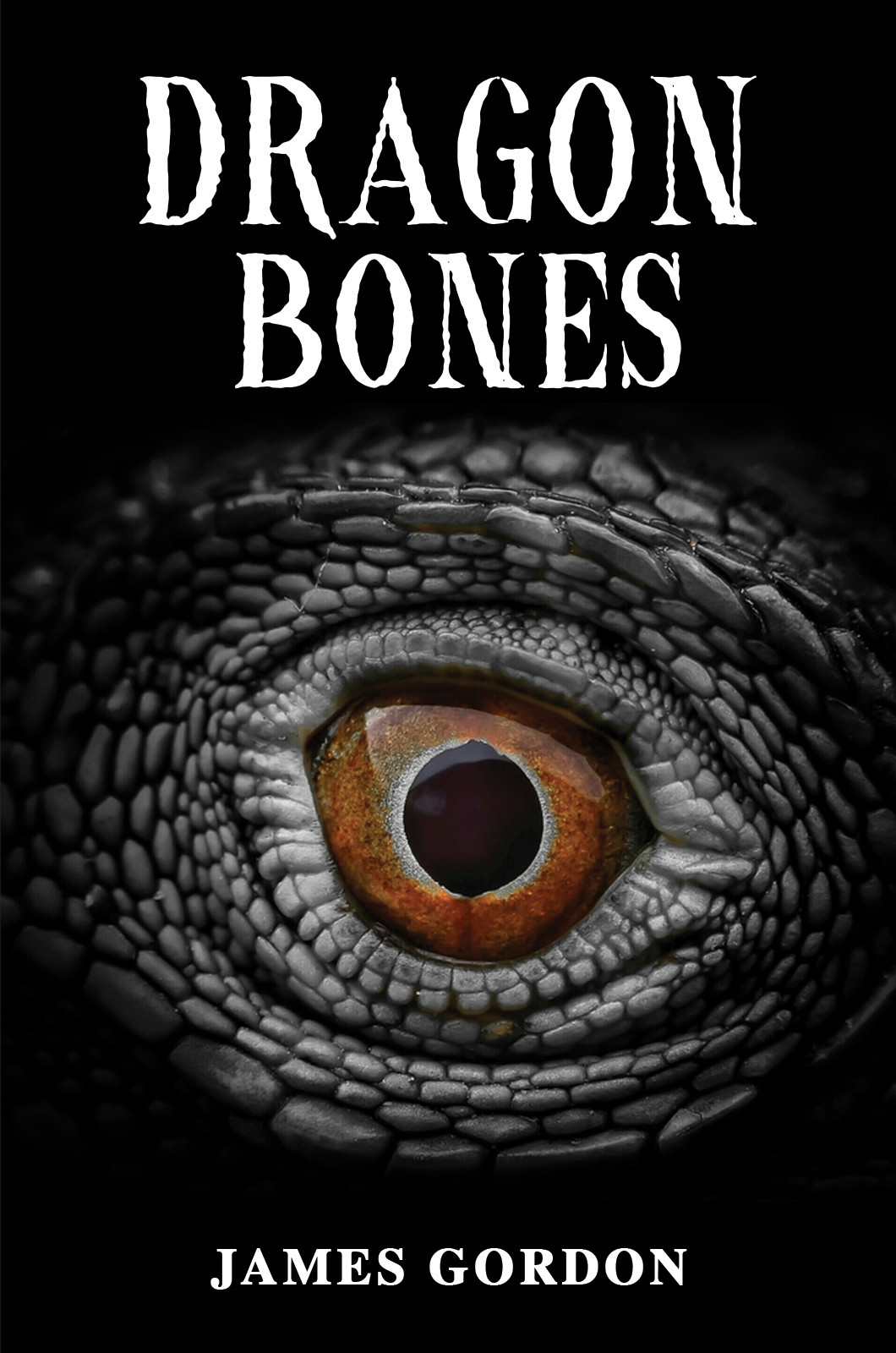 Dragon Bones-bookcover