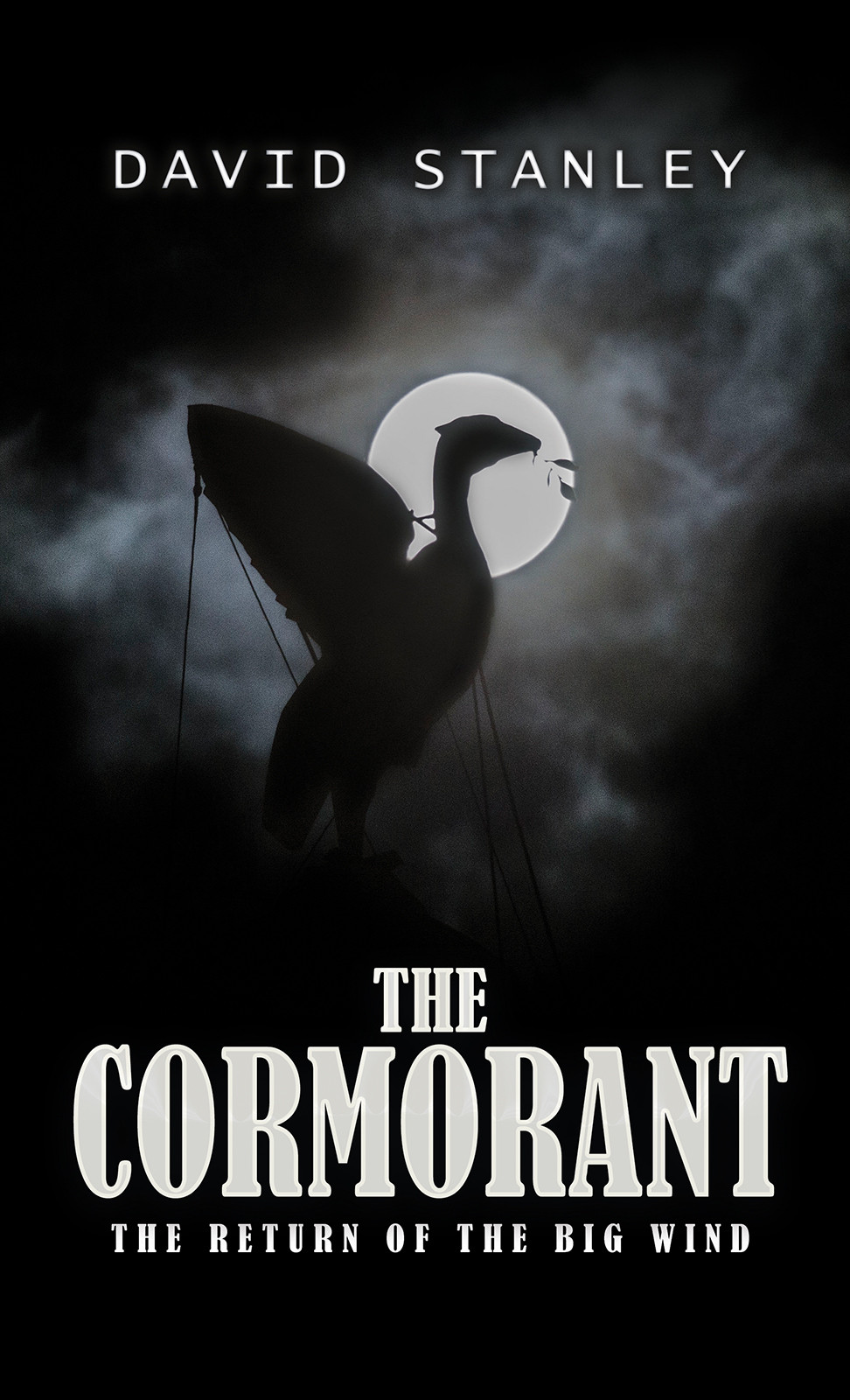 The Cormorant-bookcover