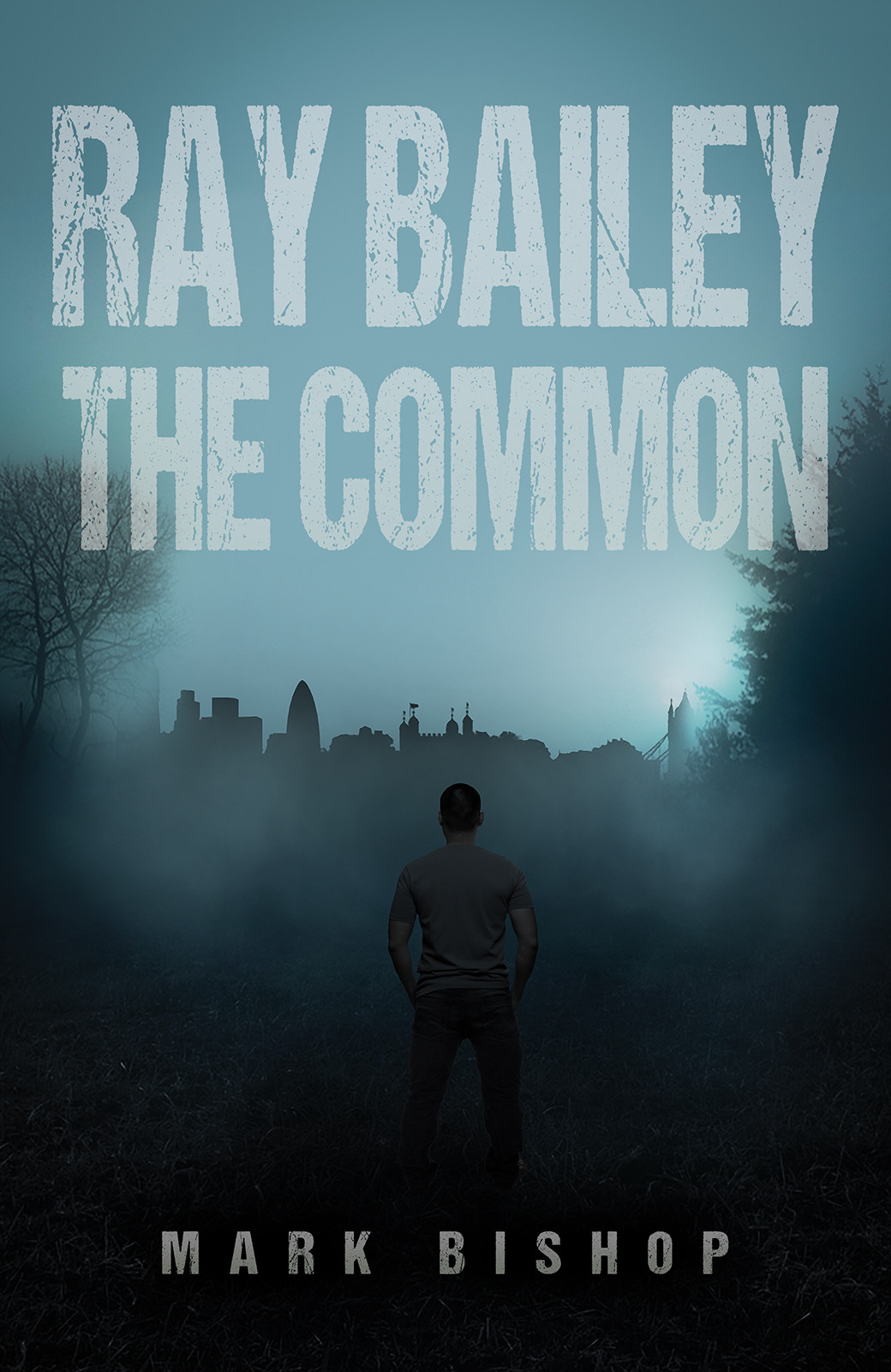 Cover of Ray Bailey – The Common