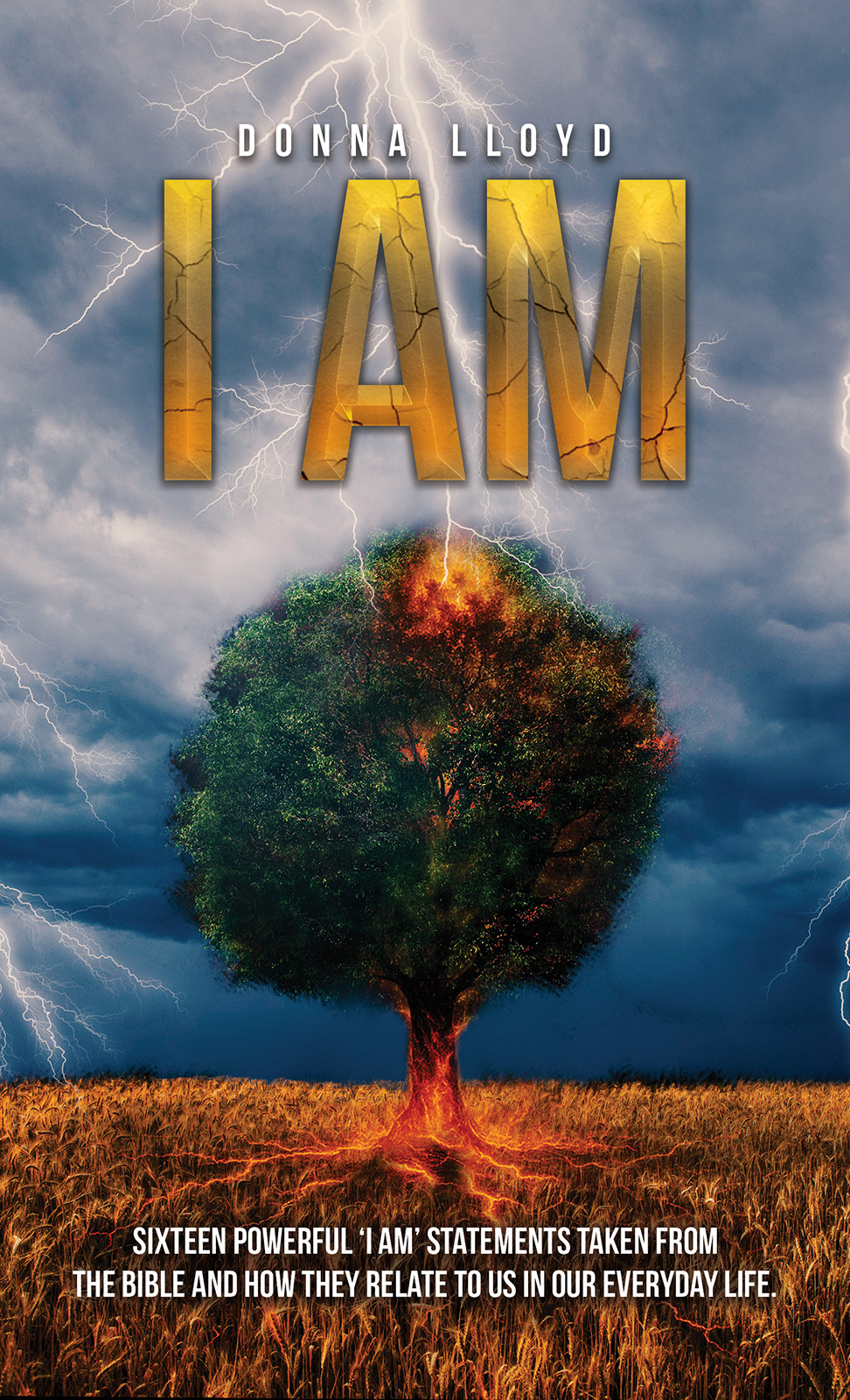 Cover of I Am