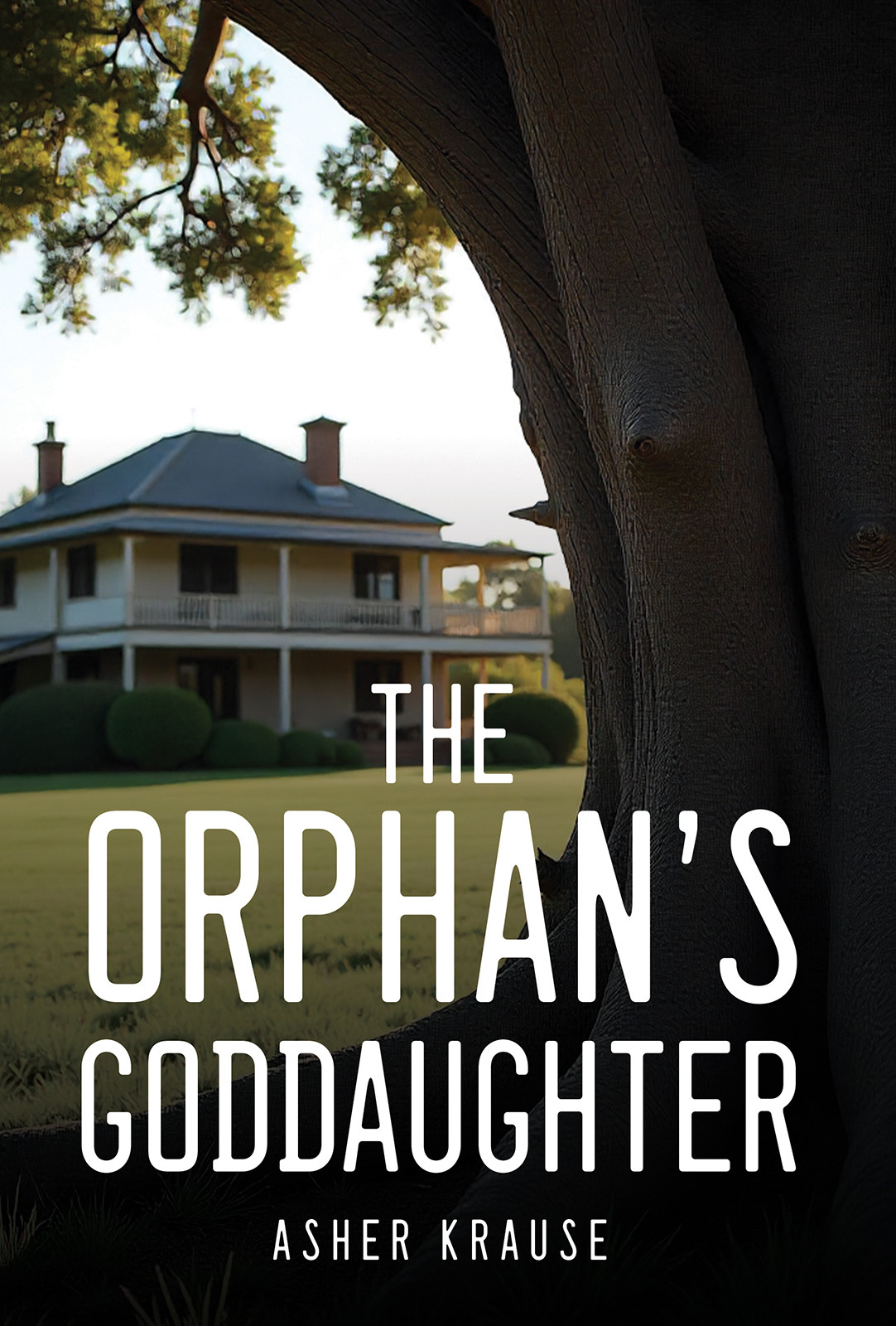 The Orphan's Goddaughter-bookcover