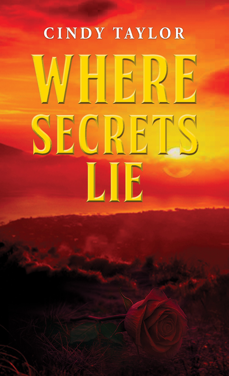 Cover of Where Secrets Lie