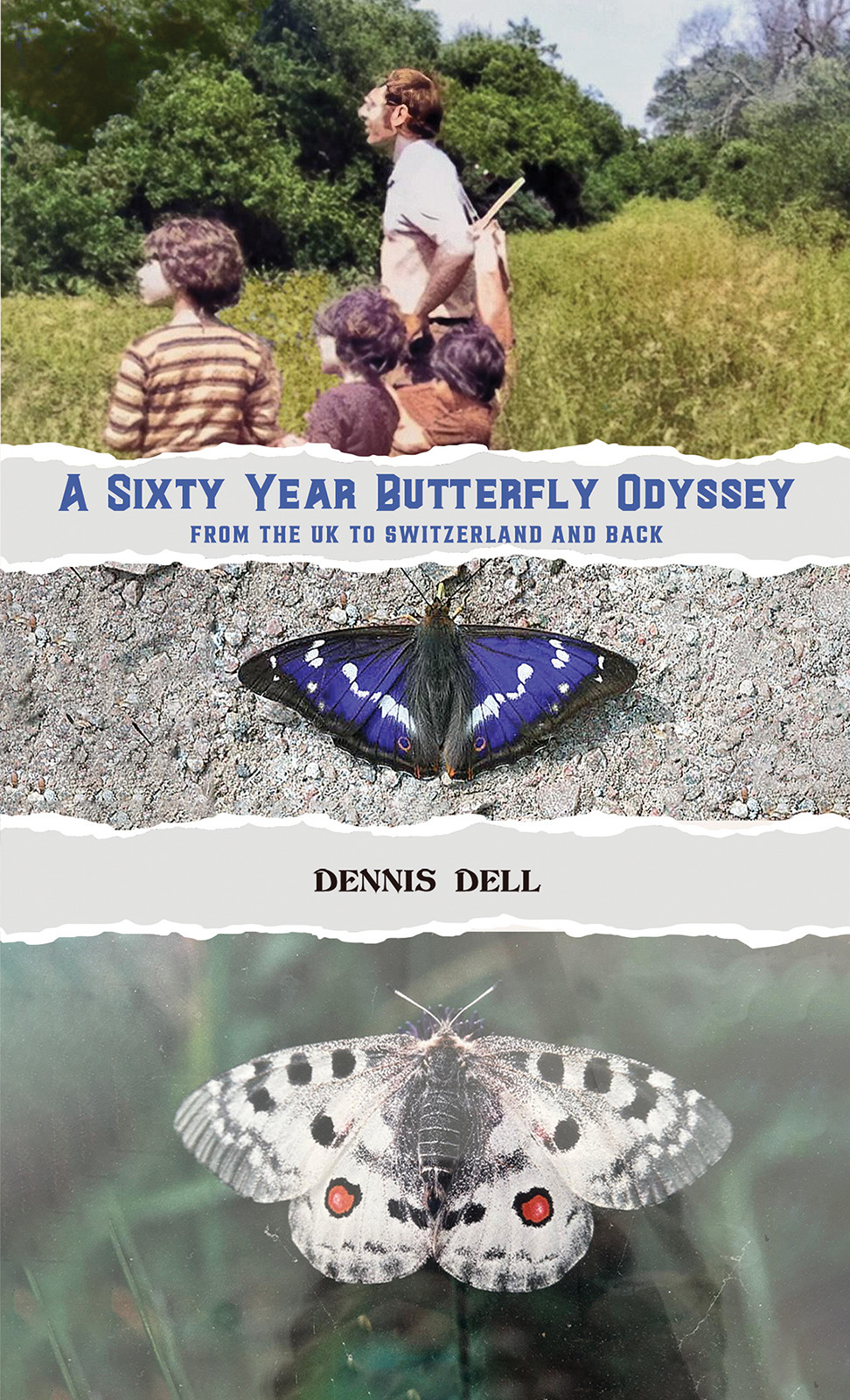 Book Title: A Sixty Year Butterfly Odyssey