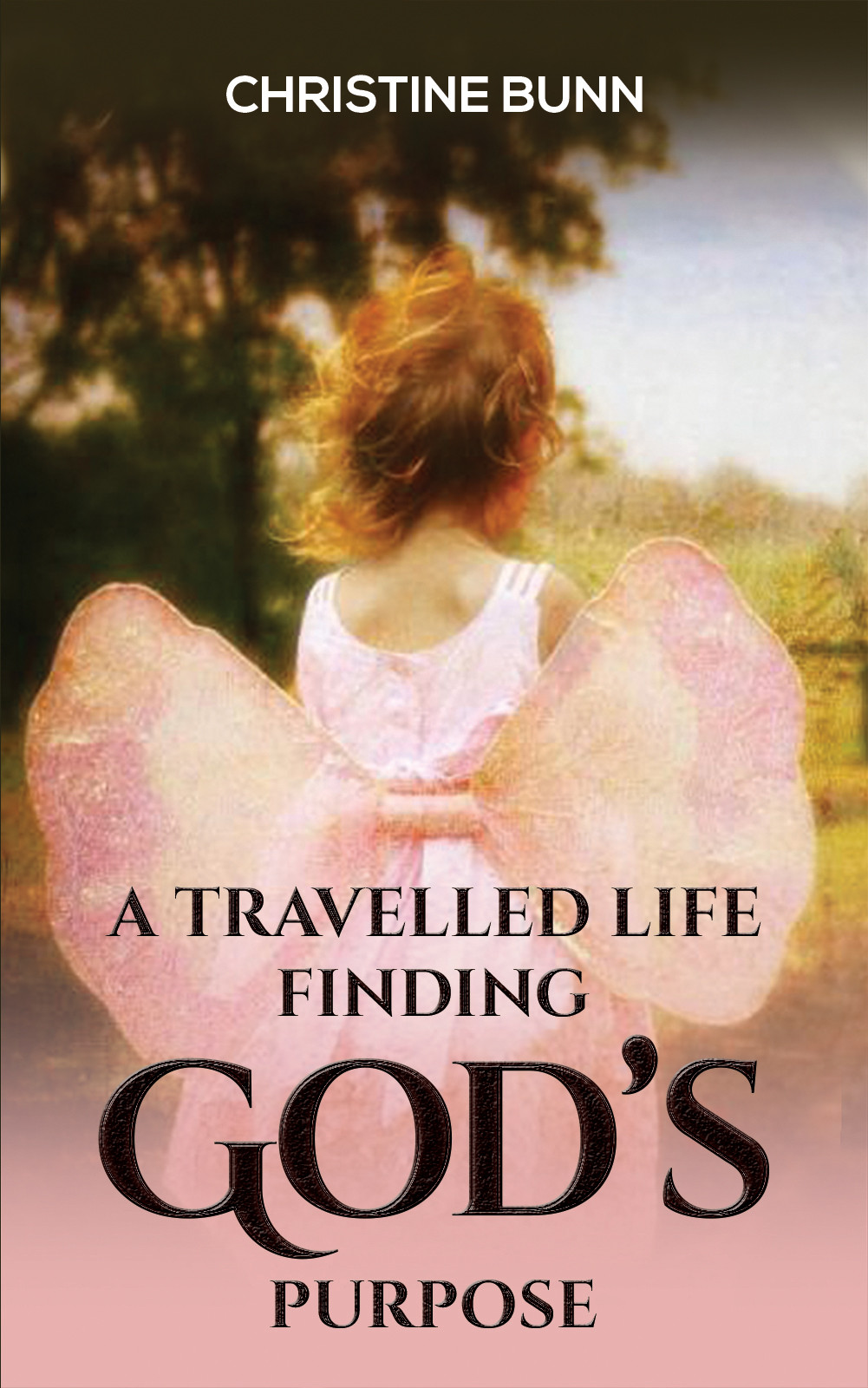 Cover of A Travelled Life Finding God's Purpose