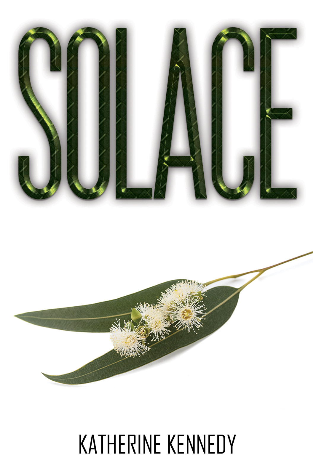 Solace-bookcover