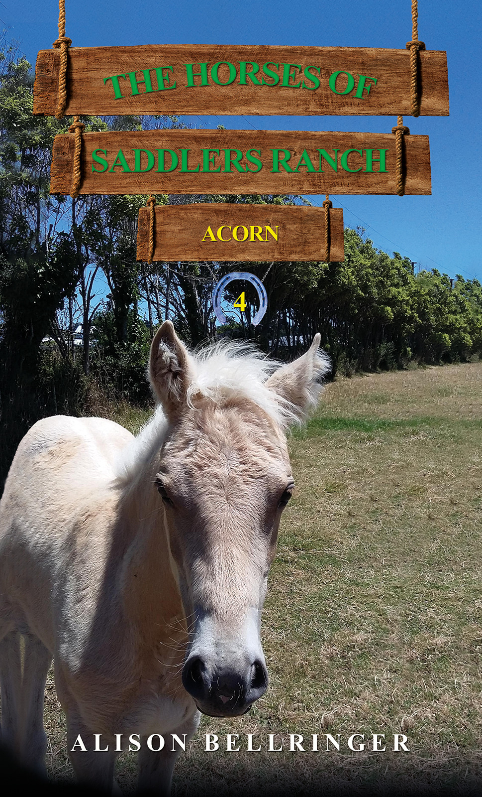 The Horses of Saddlers Ranch: Acorn