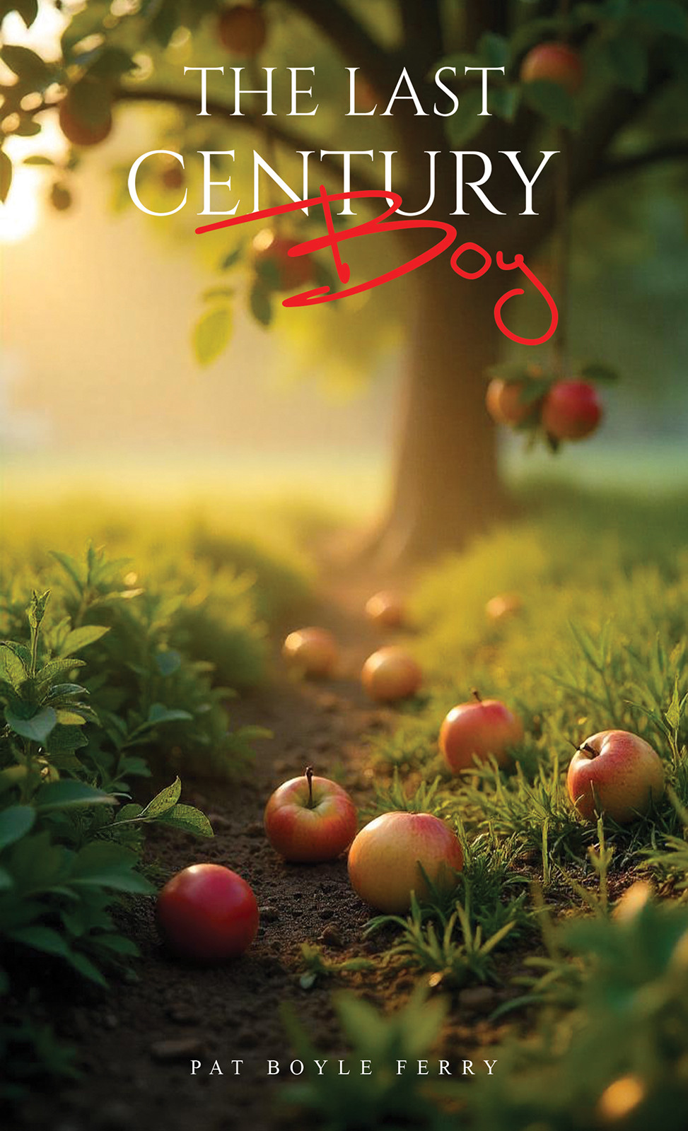 Cover of The Last Century Boy