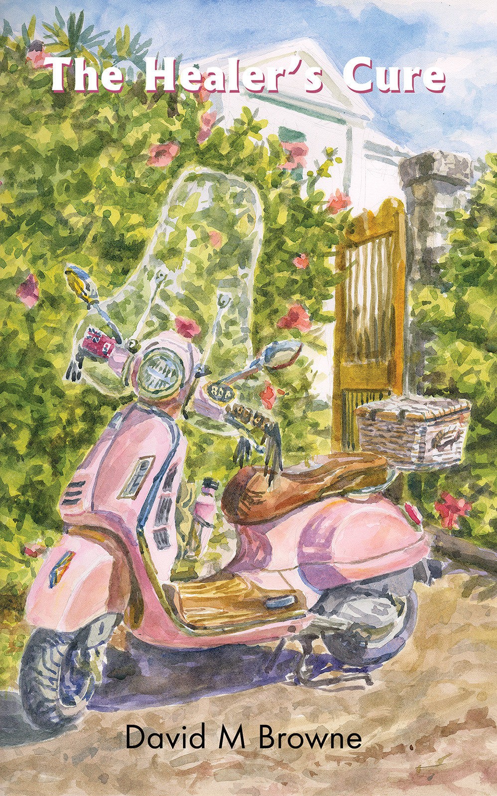 Book Title: The Healer’s Cure