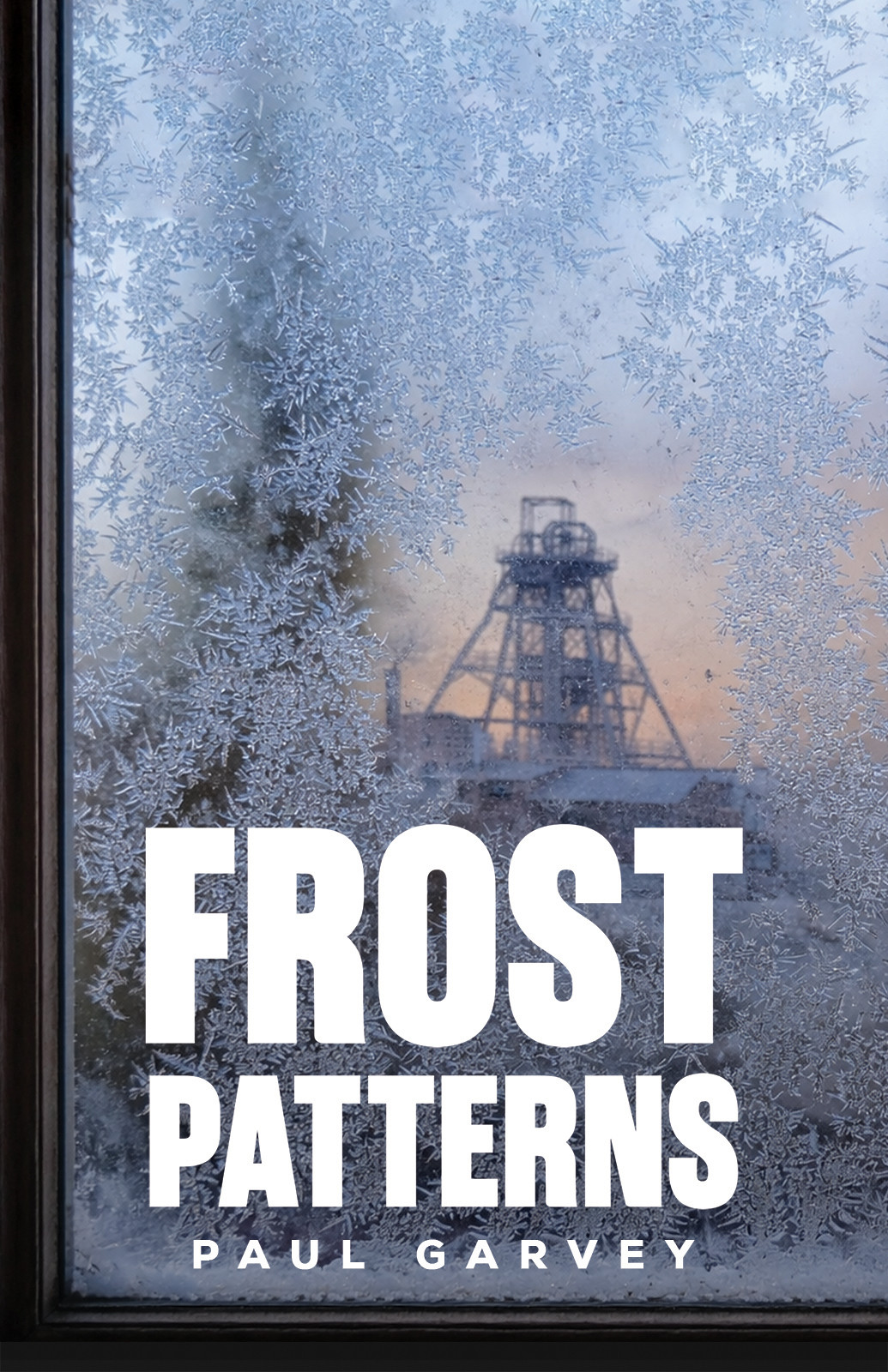 Book Title: Frost Patterns