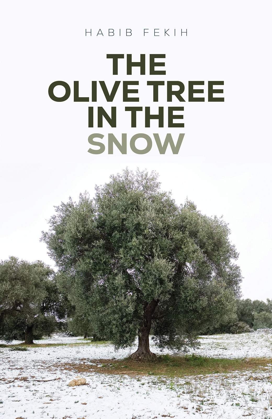 Book Title: The Olive Tree in the Snow