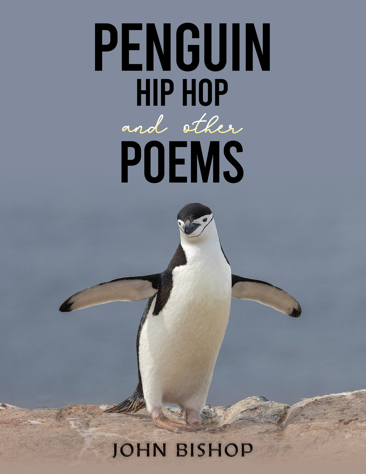 Penguin Hip Hop and other Poems