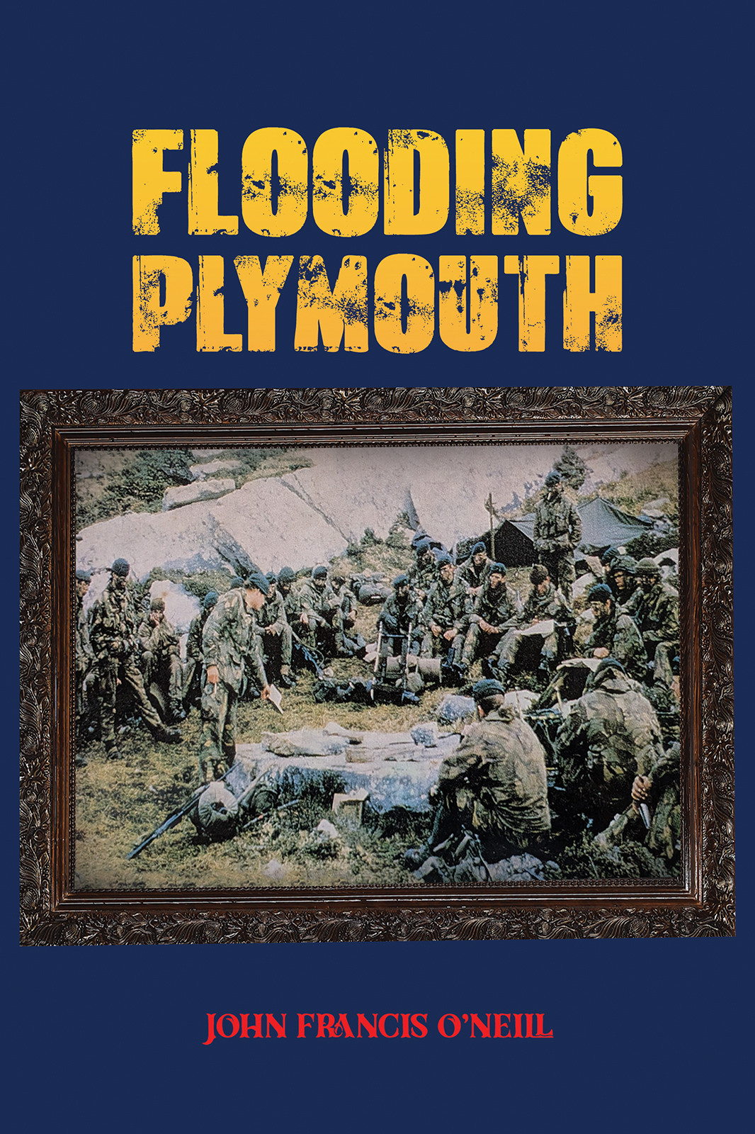Flooding Plymouth-bookcover