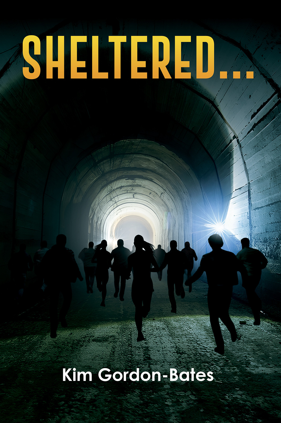 Sheltered...-bookcover