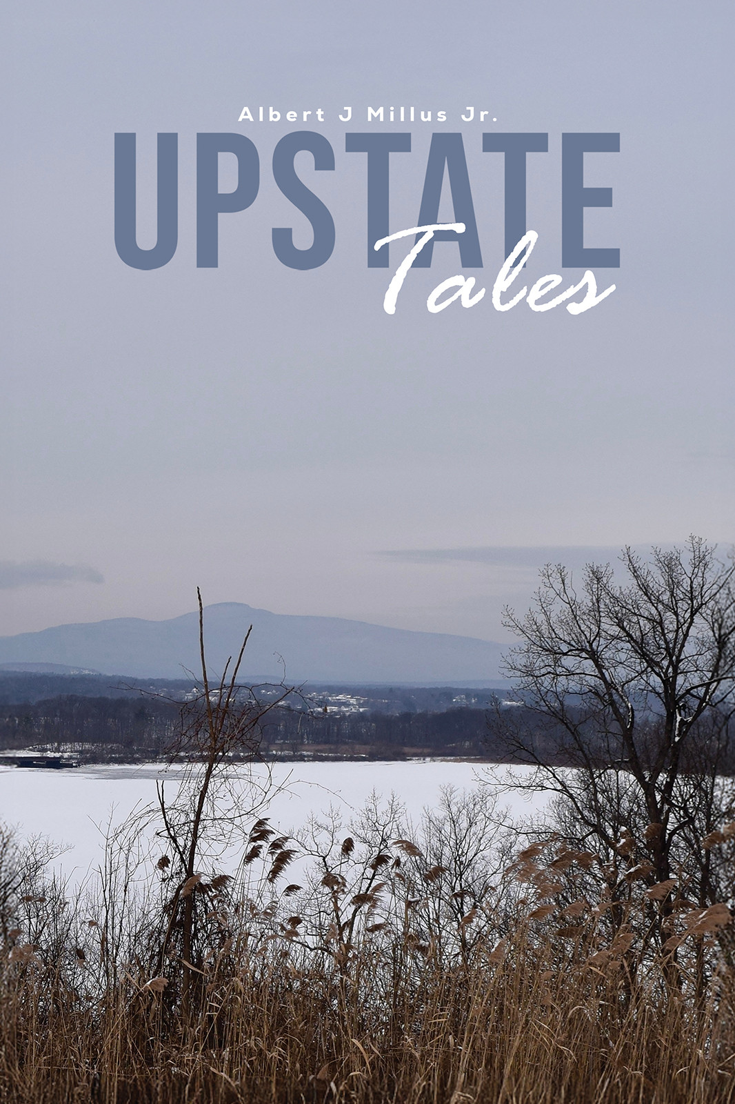 Upstate Tales-bookcover