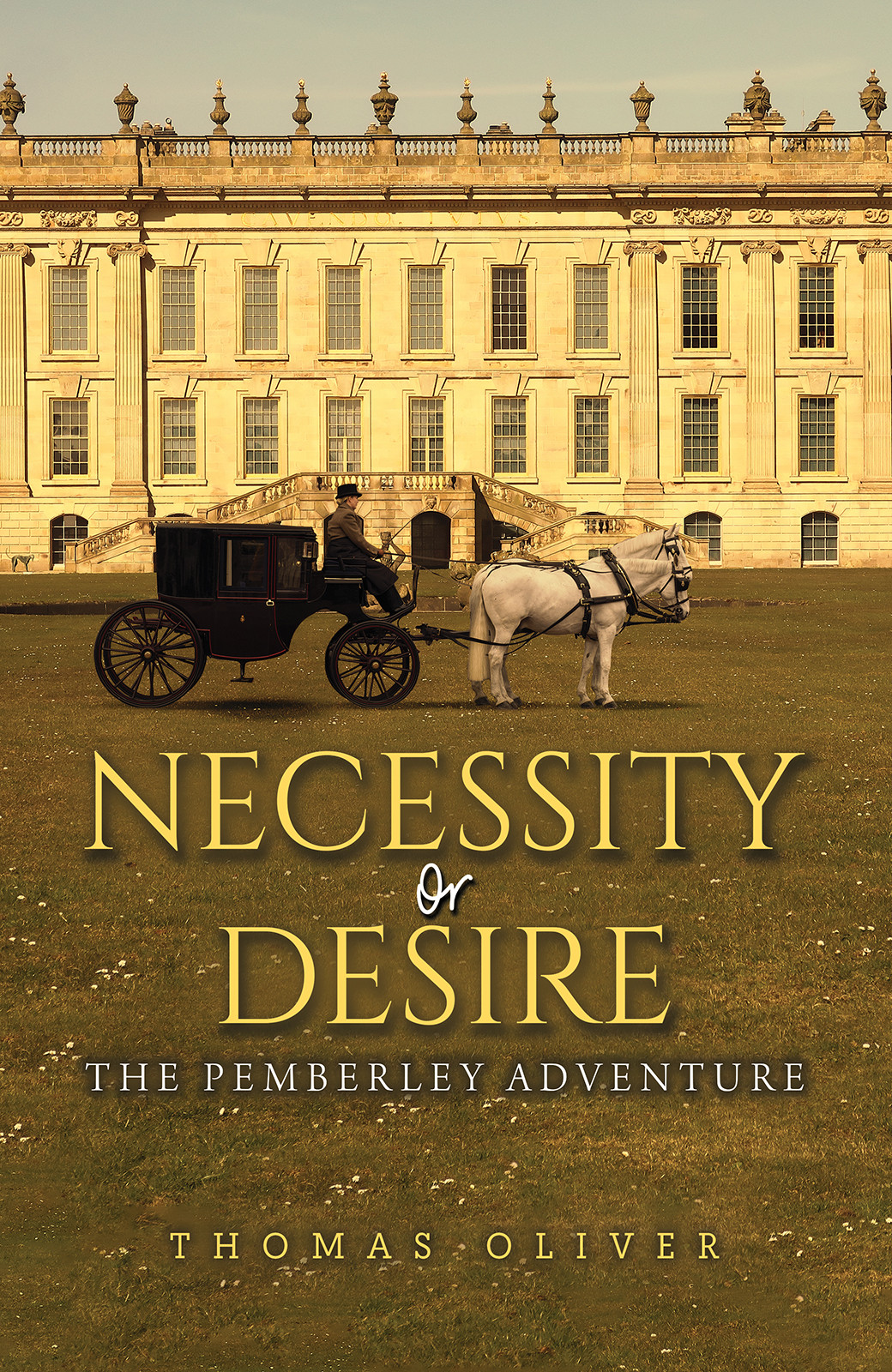 Cover of Necessity or Desire