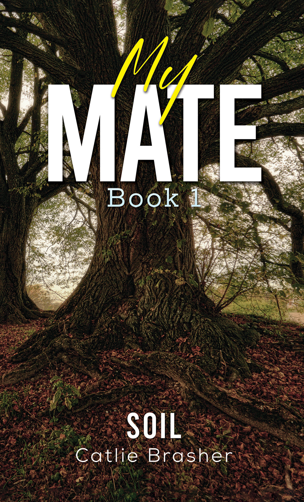 My Mate – Book 1-bookcover