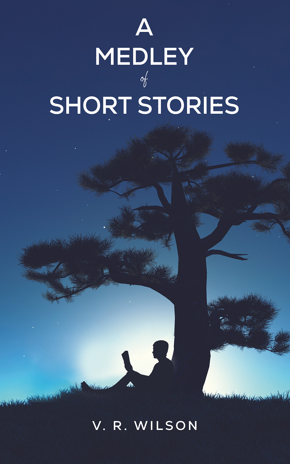 A Medley of Short Stories-bookcover