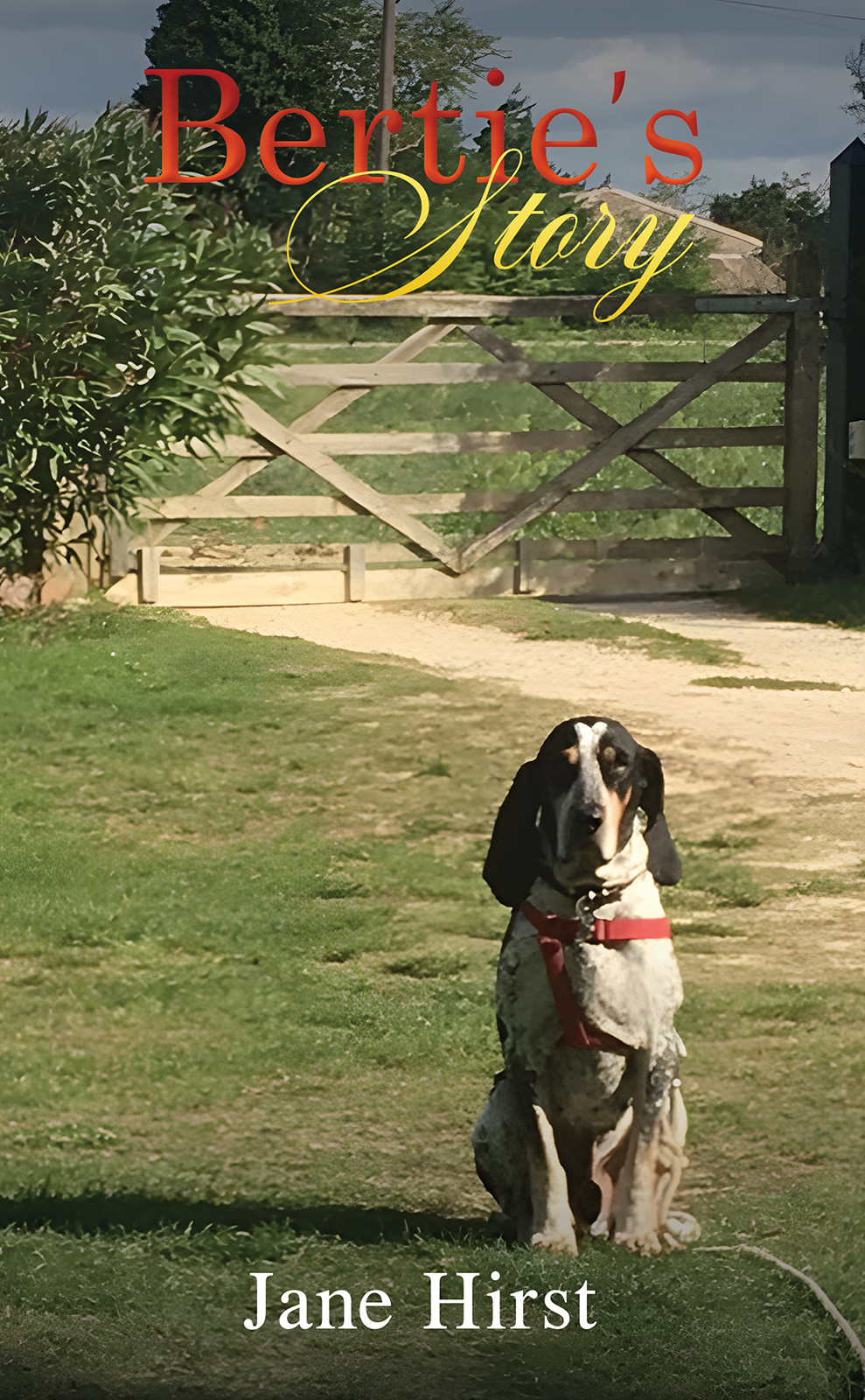 Bertie’s Story-bookcover
