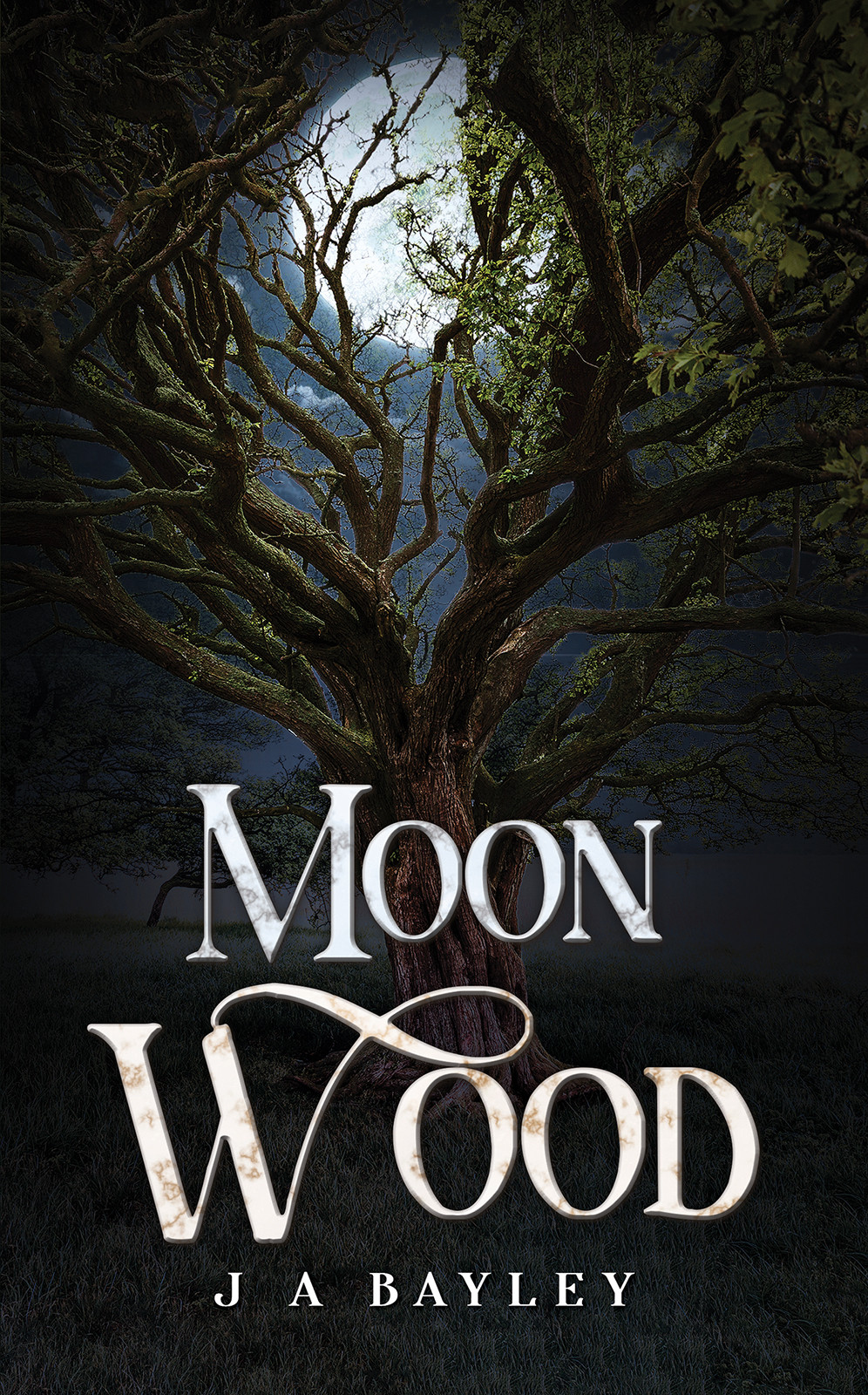 Cover of Moon Wood