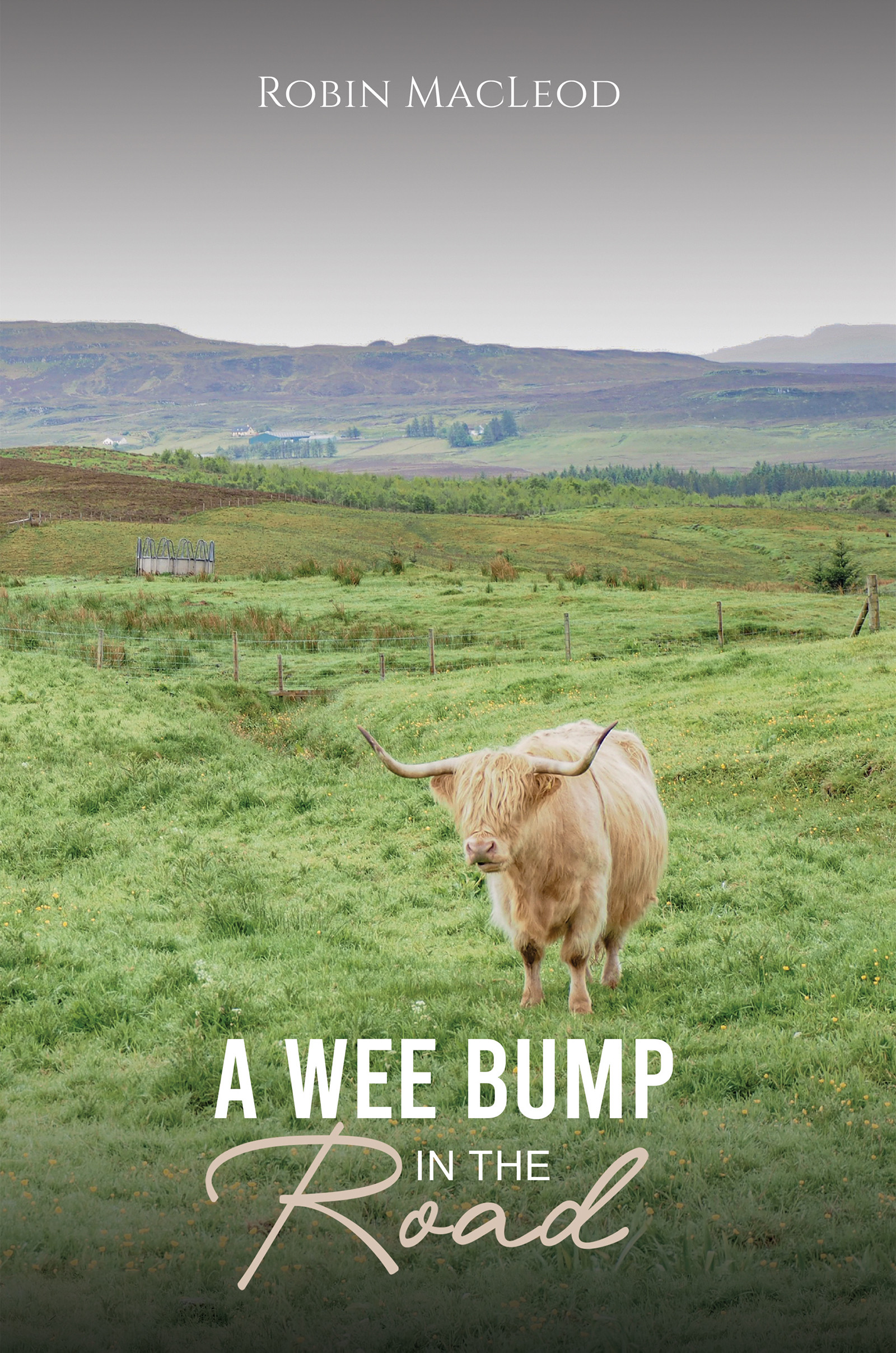 A Wee Bump in the Road-bookcover