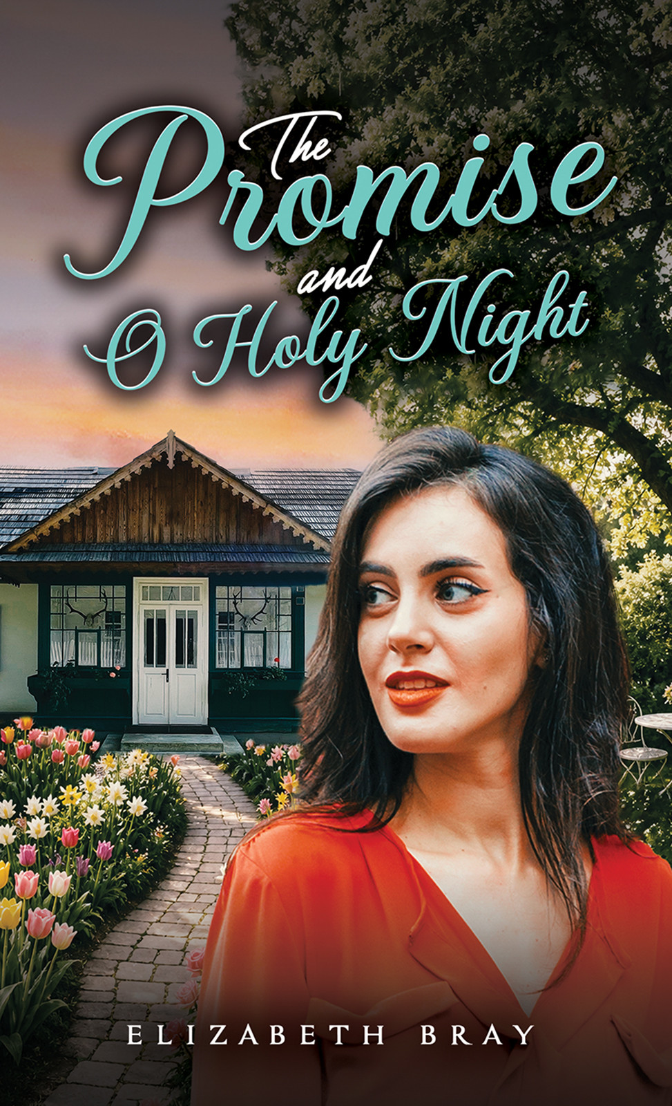 The Promise and O Holy Night-bookcover