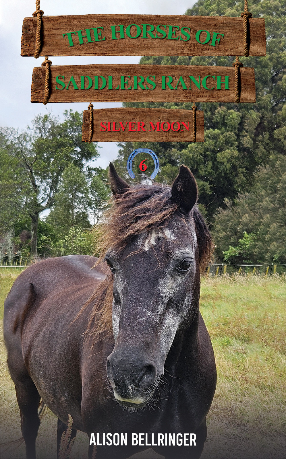 The Horses of Saddlers Ranch: Silver Moon-bookcover