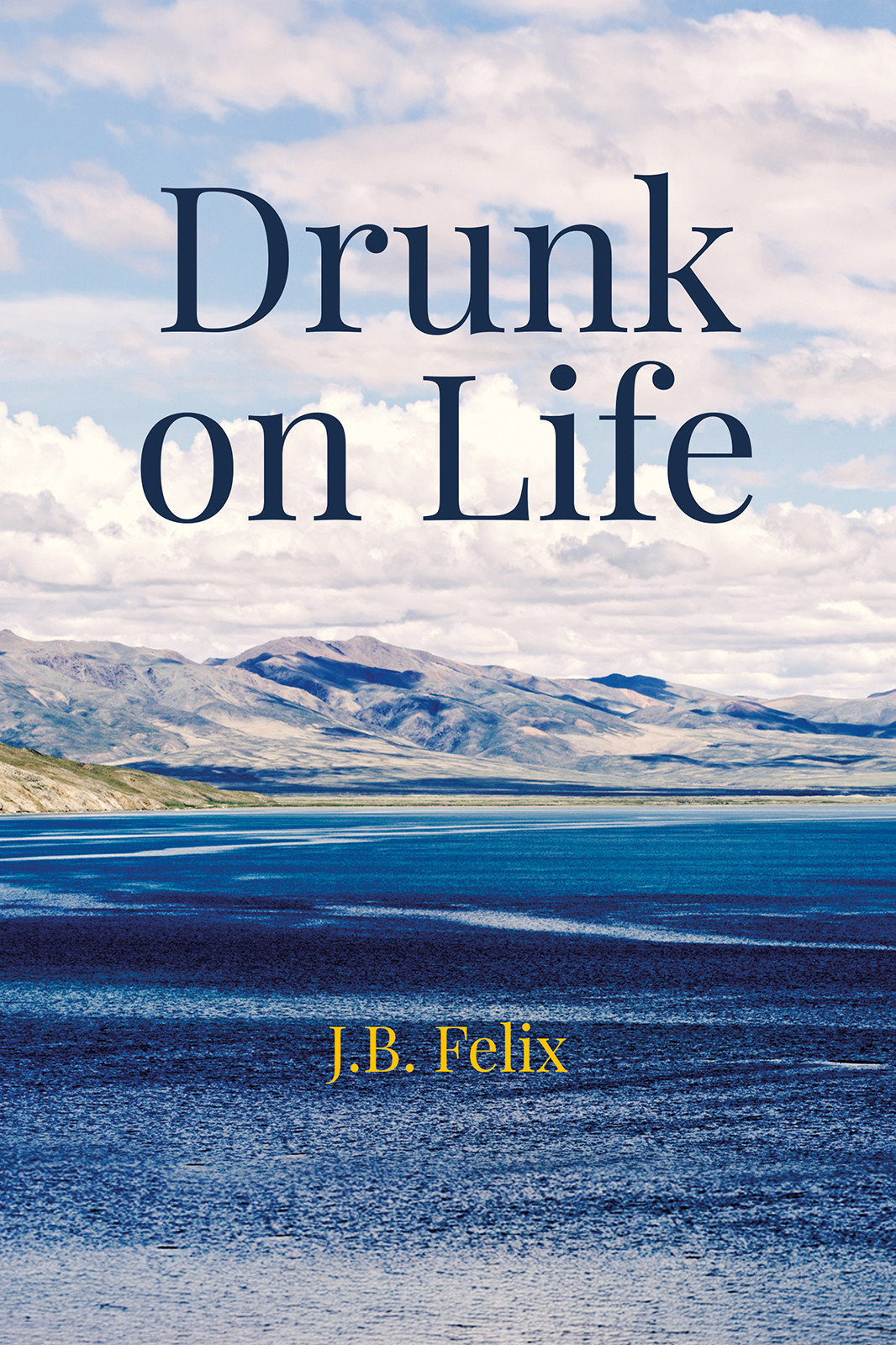 Cover of Drunk on Life