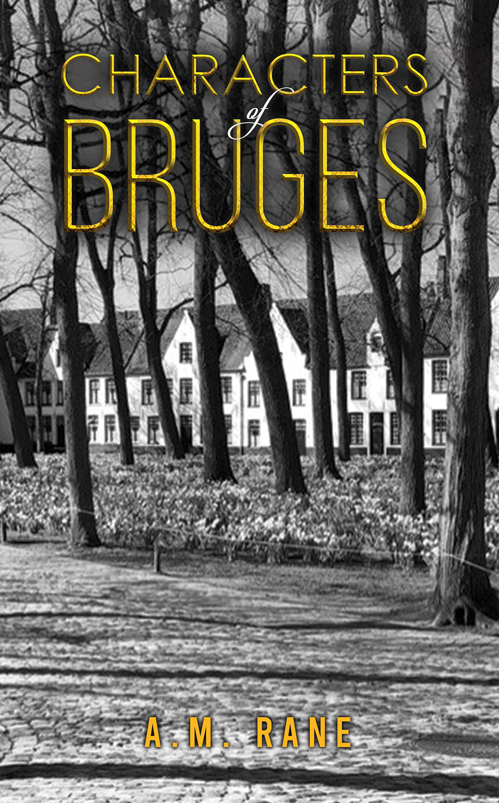 Book Title: Characters of Bruges