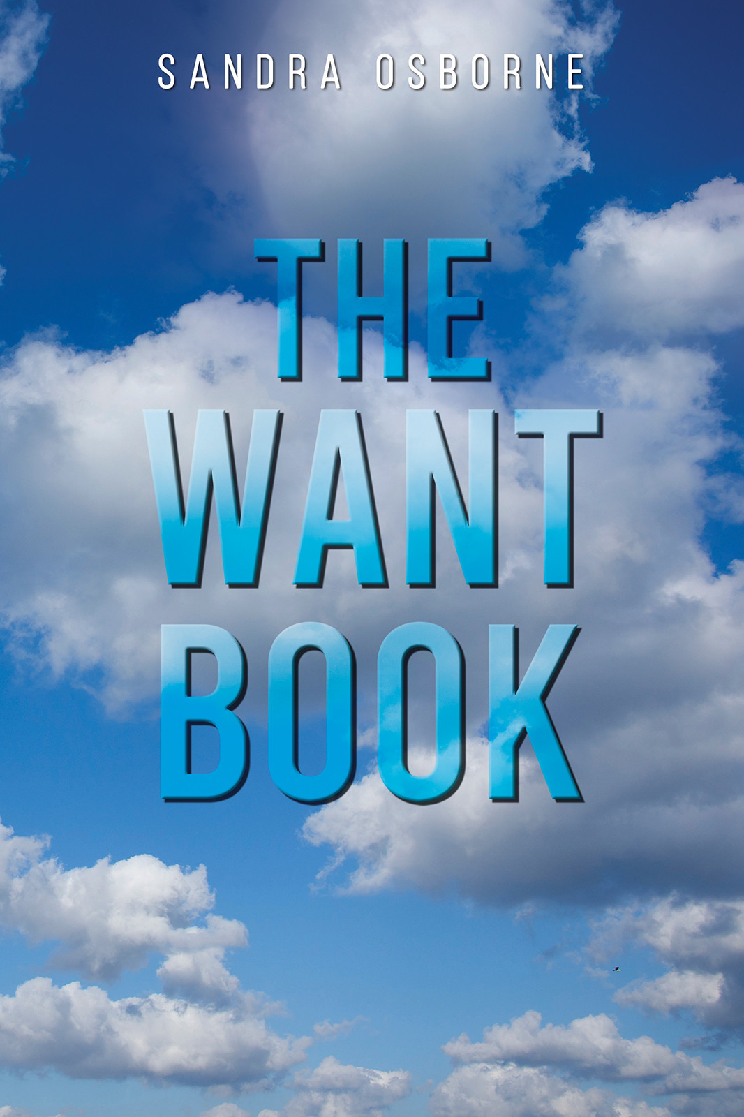 The Want Book