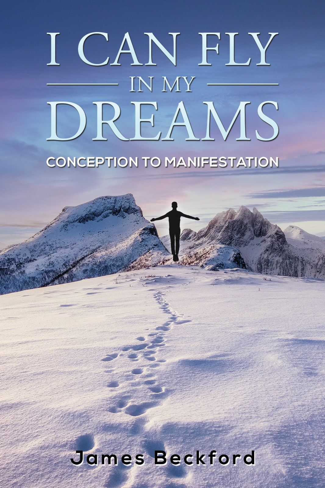 I Can Fly in My Dreams: Conception to Manifestation-bookcover