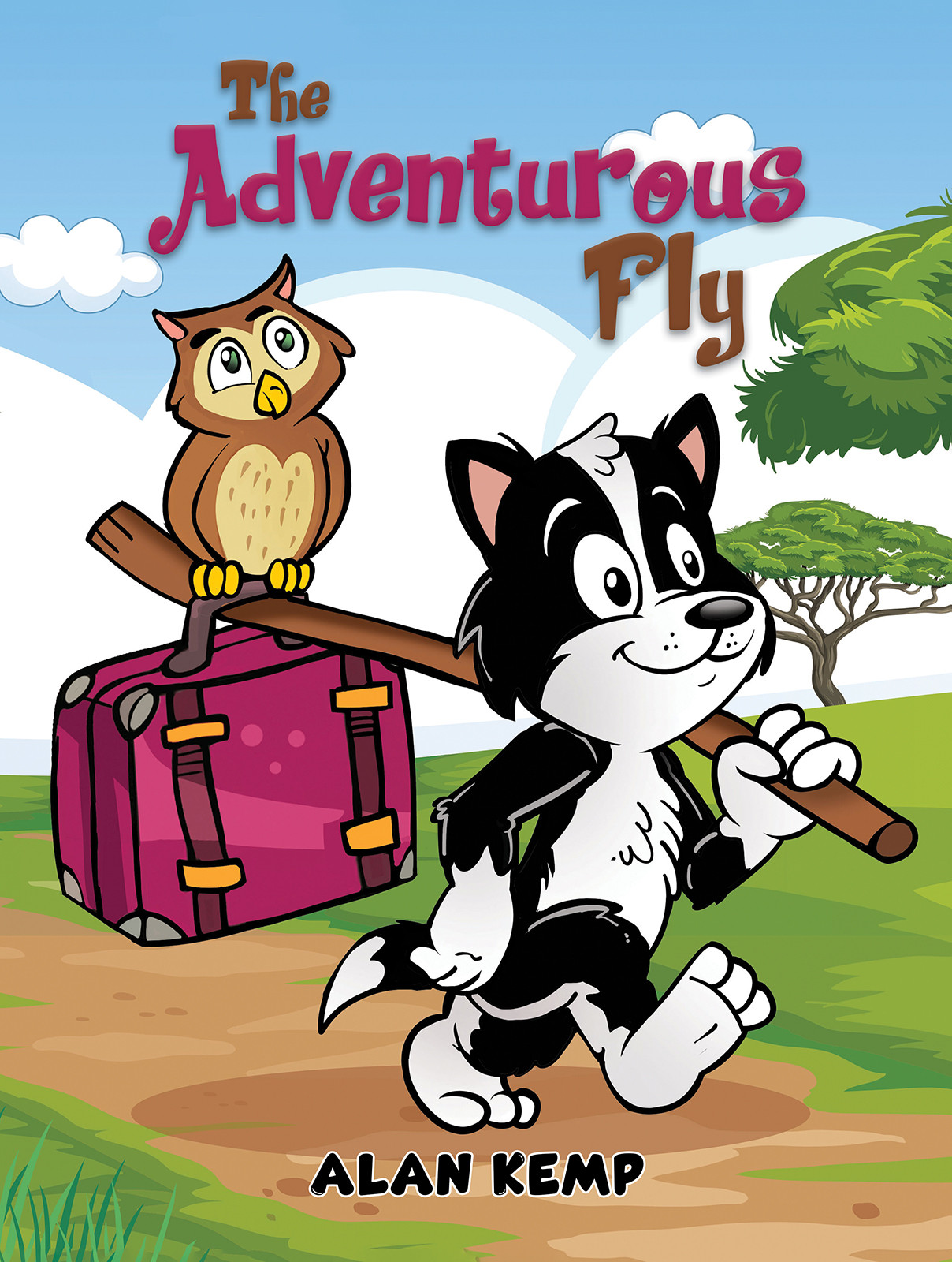 The Adventurous Fly-bookcover