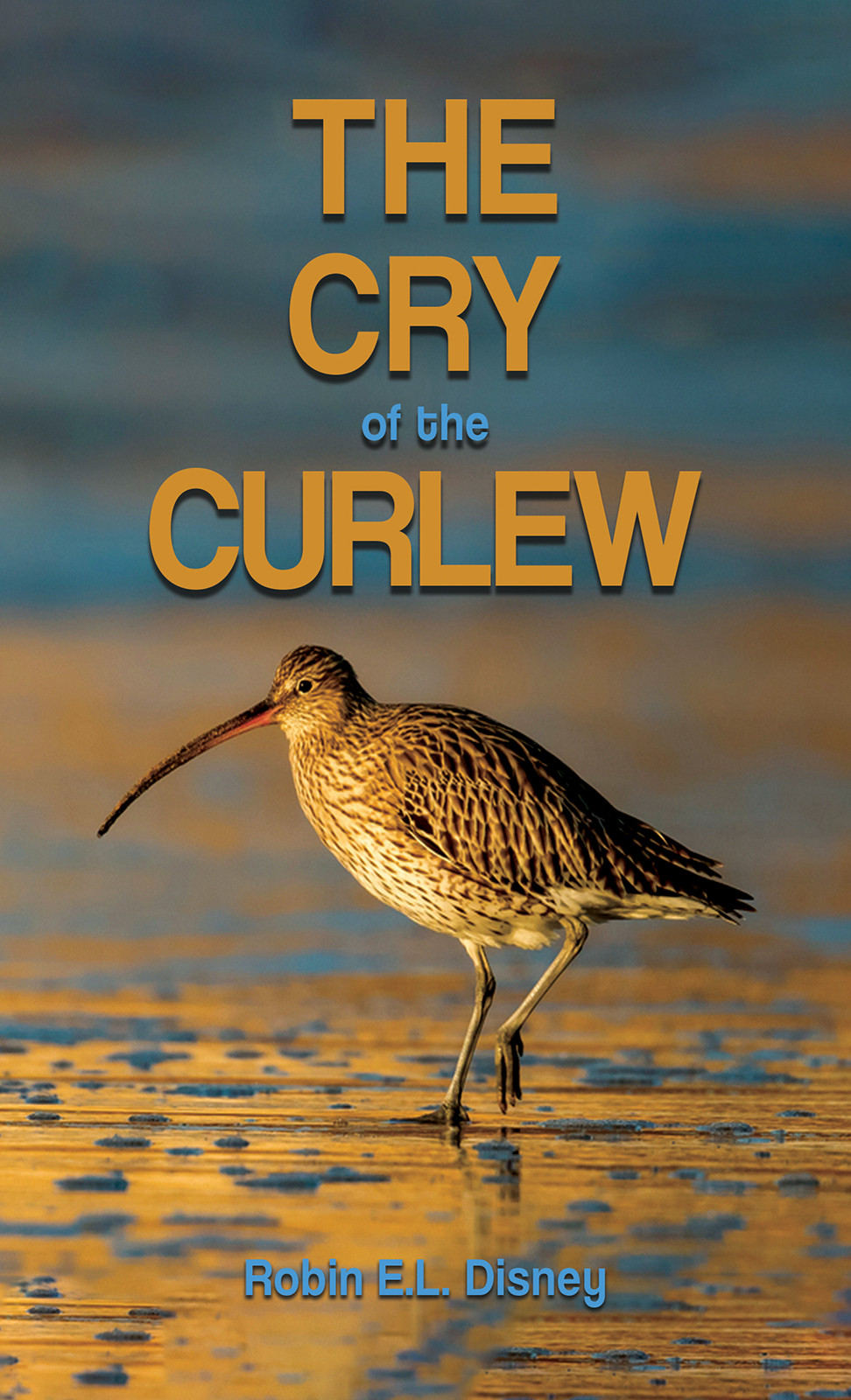The Cry of the Curlew-bookcover