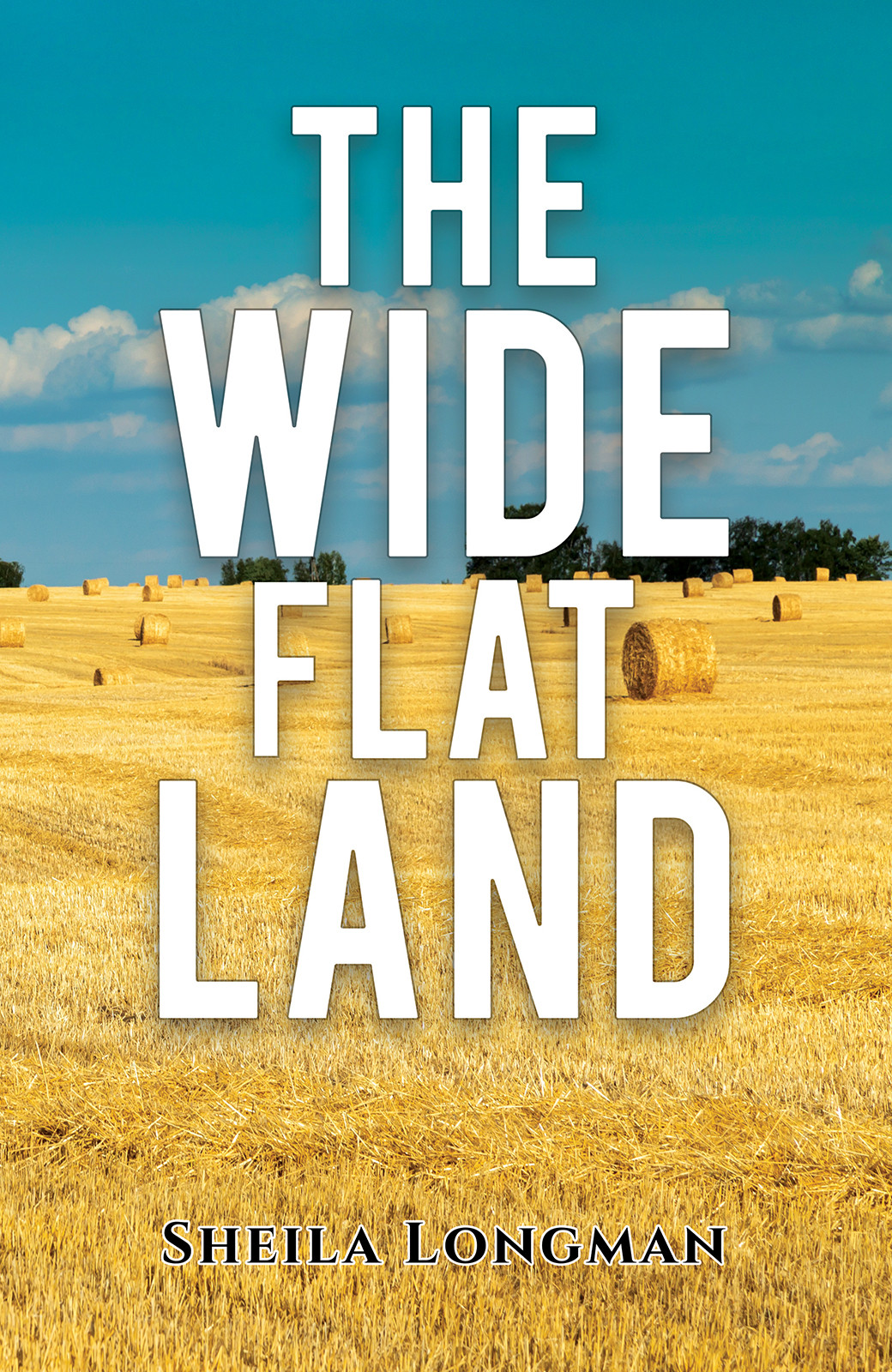 The Wide, Flat Land