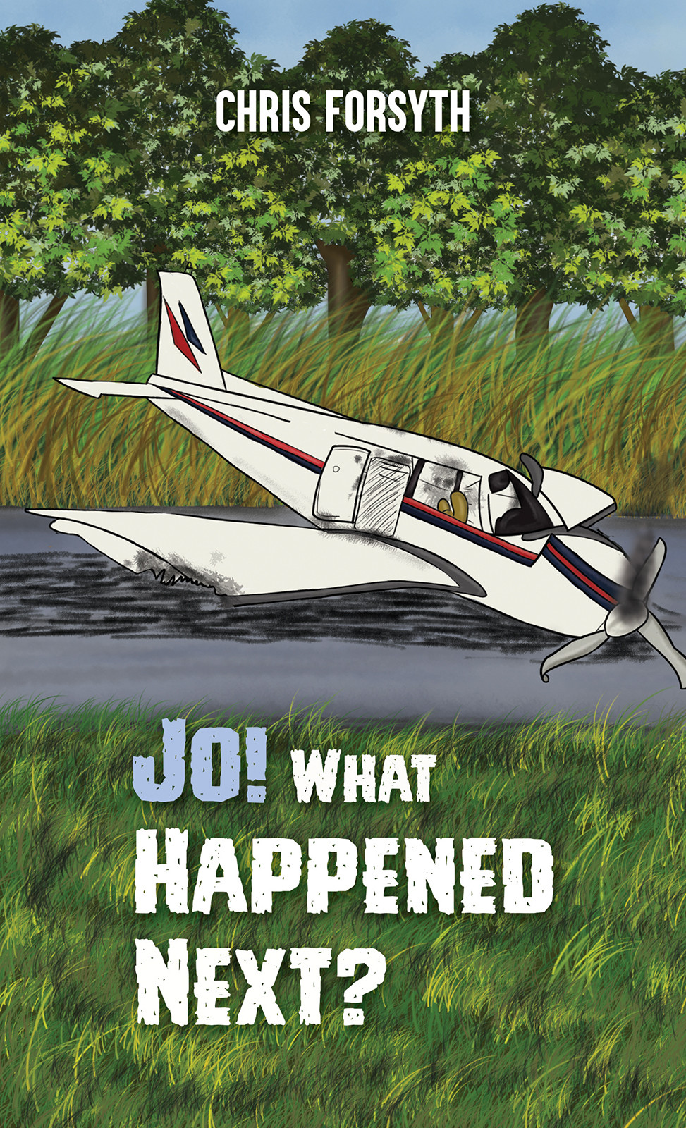 Jo! What Happened Next?-bookcover