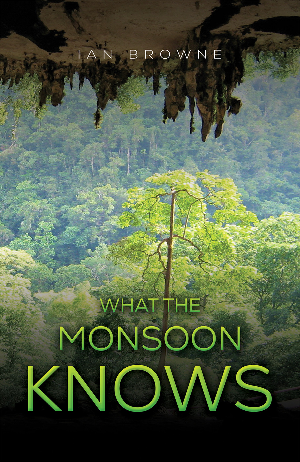 What the Monsoon Knows-bookcover