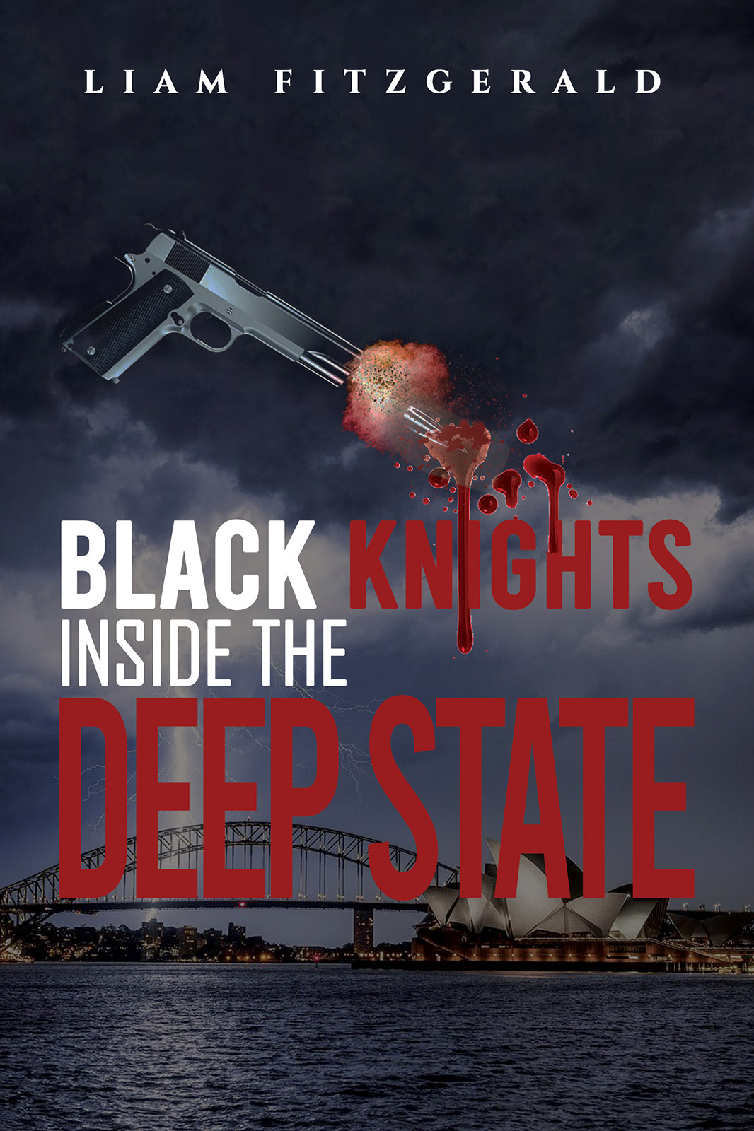 Black Knights Inside the Deep State-bookcover