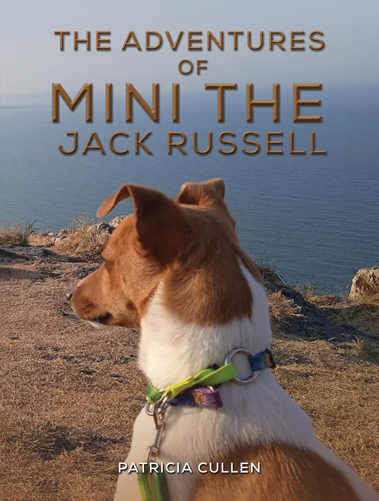 The Adventures of Mini the Jack Russell-bookcover