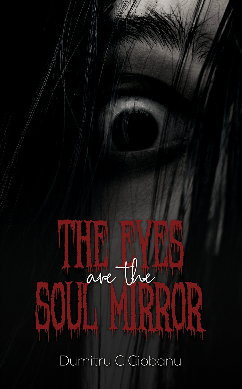 The Eyes Are the Soul Mirror-bookcover